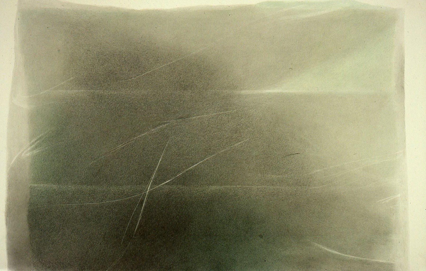 Bodega 2, 1996 — colored pencil and graphite on paper, 33 by 47 "