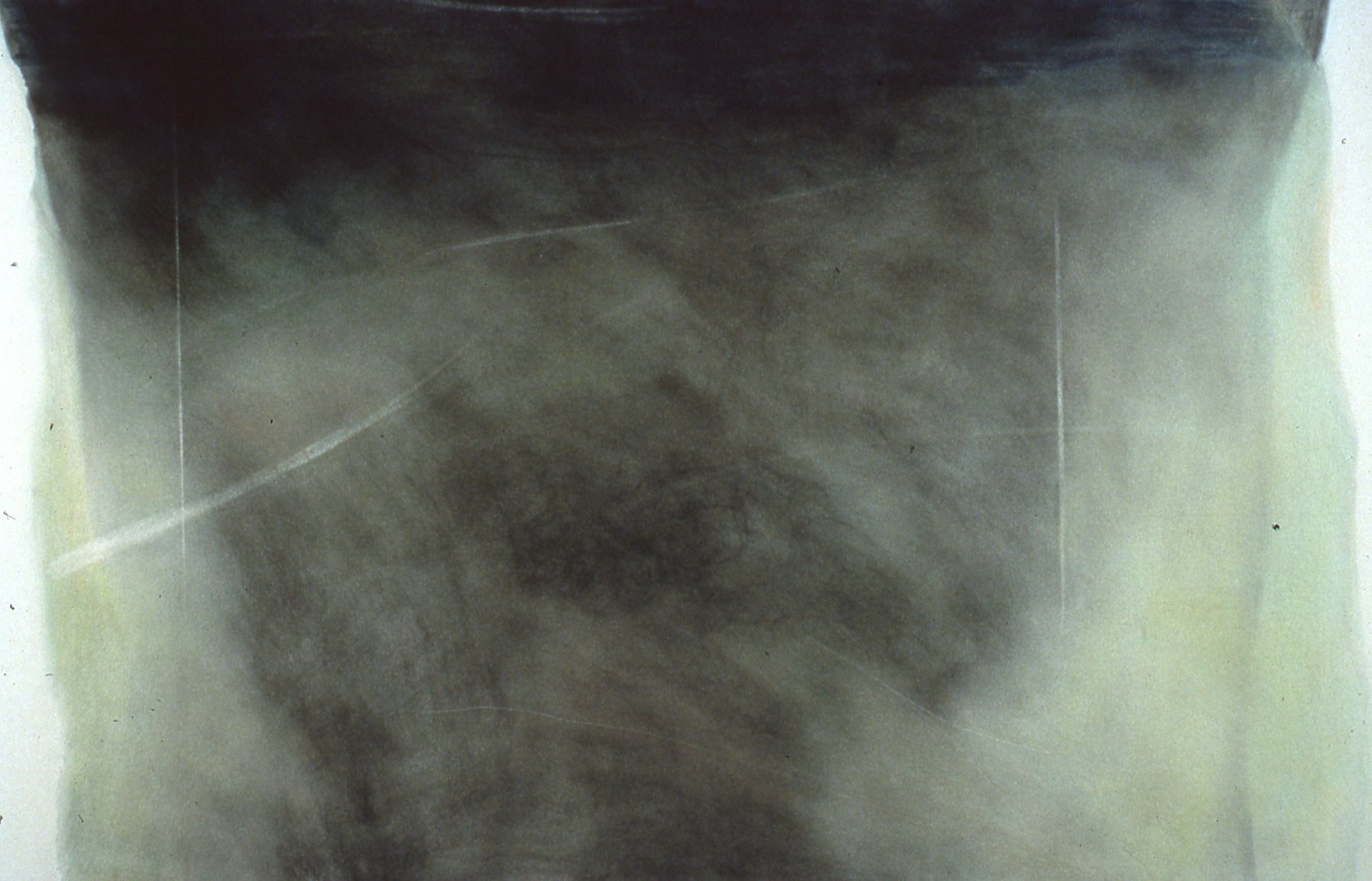 Sleeping in the Forest, 1997 — graphite and colored pencil on paper, 30 by 38 "